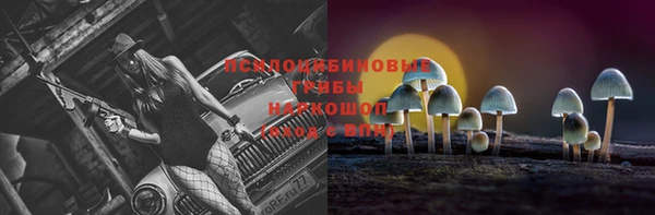PSILOCYBIN Алексеевка
